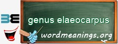 WordMeaning blackboard for genus elaeocarpus